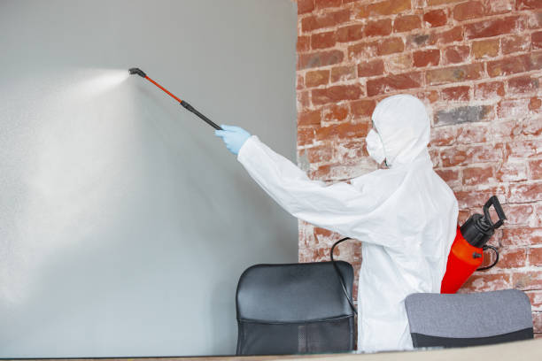 Best Mold-Related Health Consultation  in St Cloud, FL