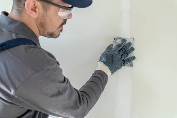 Best Crawl Space Mold Remediation  in St Cloud, FL