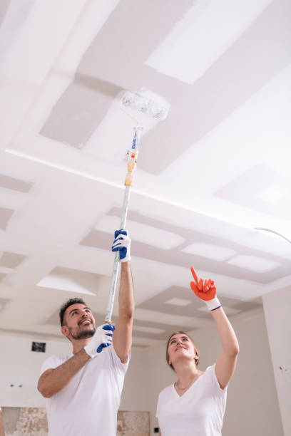 Best Attic Mold Removal  in St Cloud, FL
