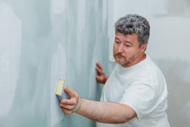 Best Air Quality Testing for Mold Spores  in St Cloud, FL
