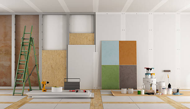 Best Black Mold Removal  in St Cloud, FL